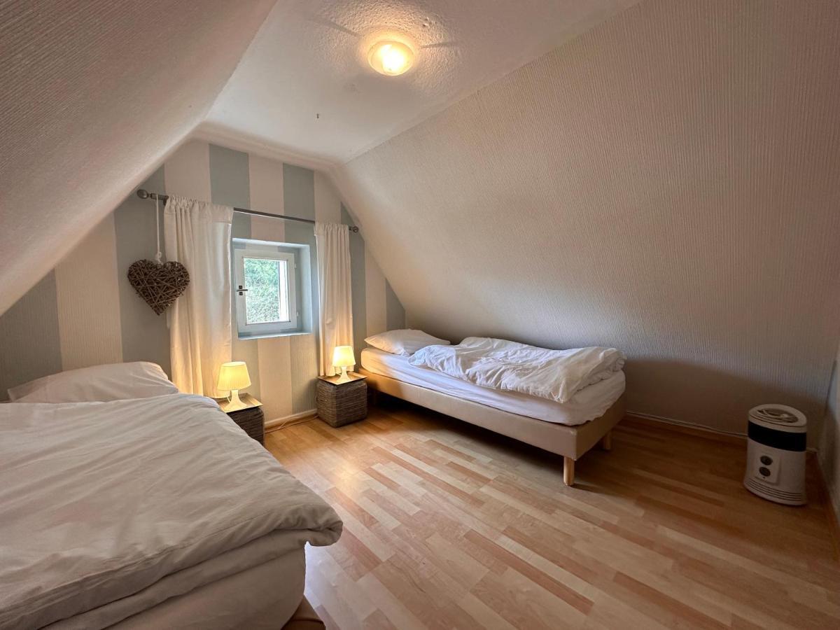 ברילון Charming Villa On The Forest In Wald 12 Guests Hugh Garden Willingen Sauerland מראה חיצוני תמונה