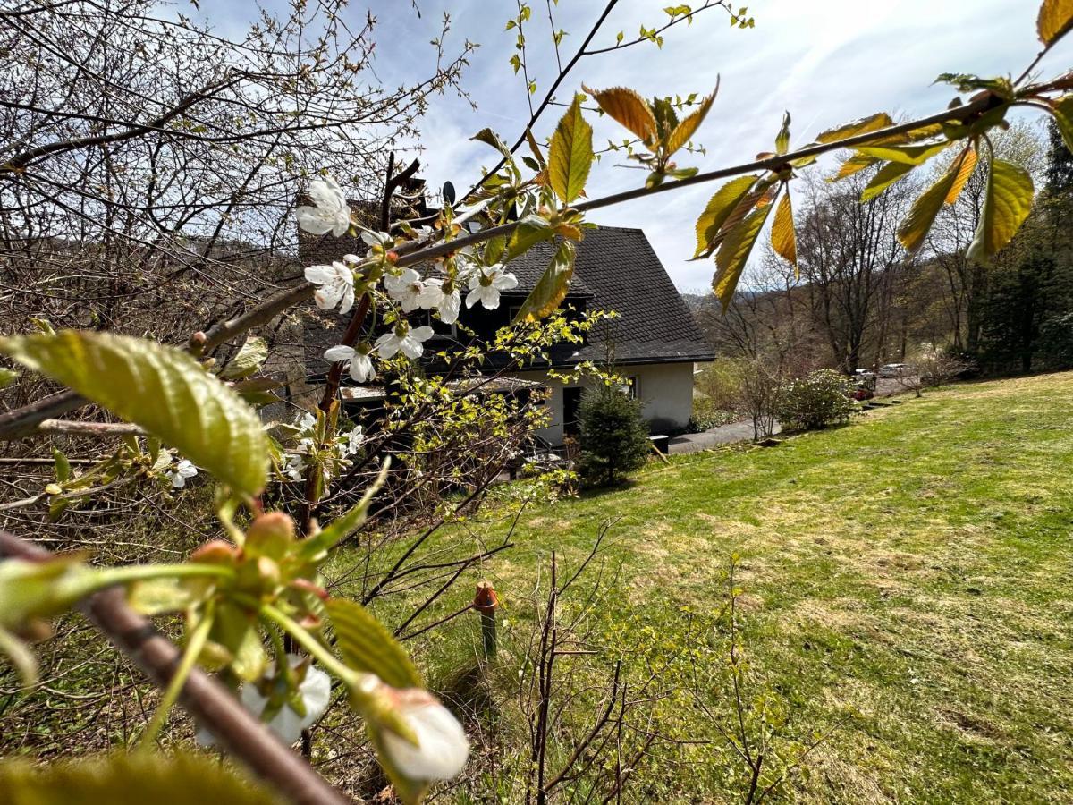 ברילון Charming Villa On The Forest In Wald 12 Guests Hugh Garden Willingen Sauerland מראה חיצוני תמונה